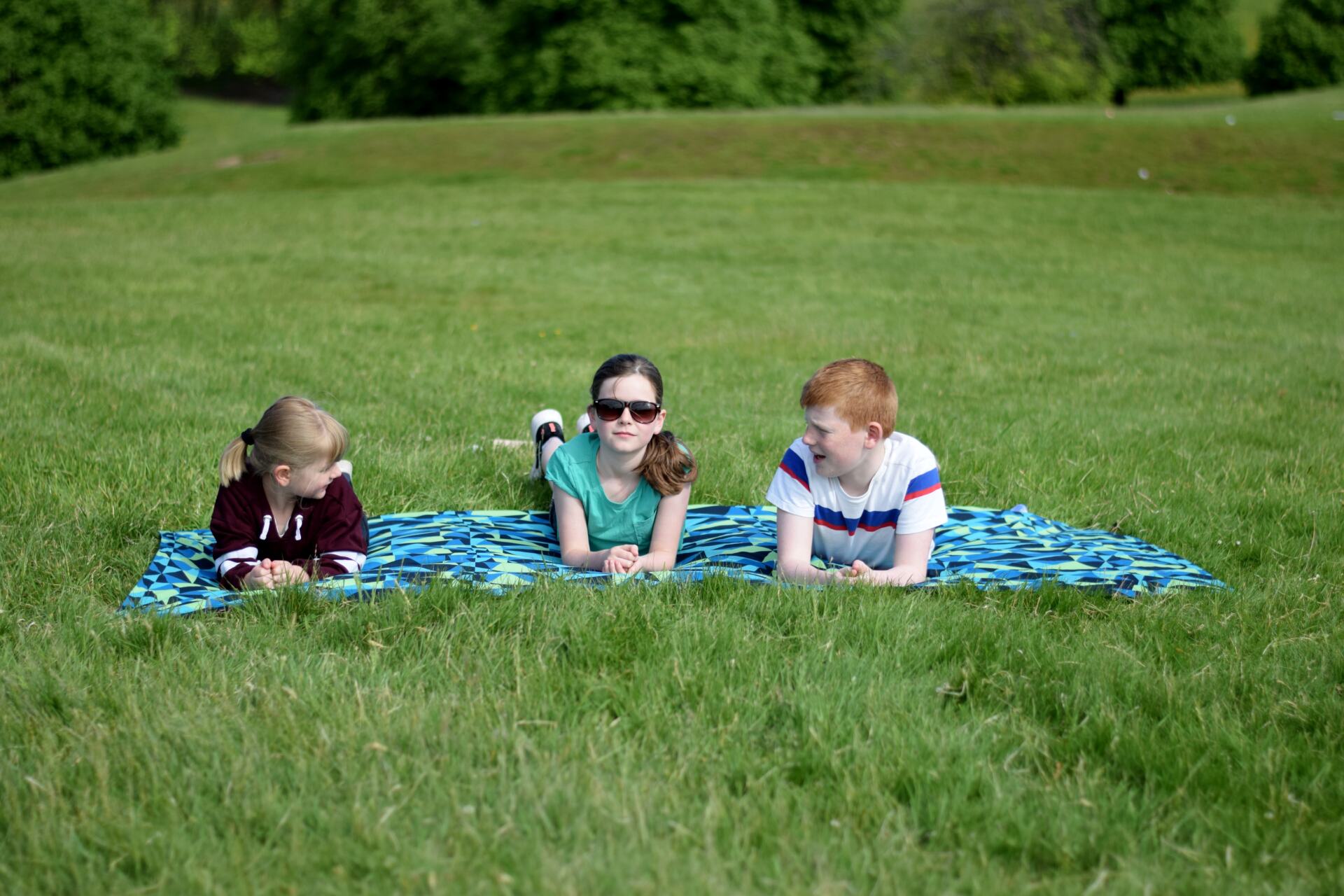 large picnic best picnic blanket 2020