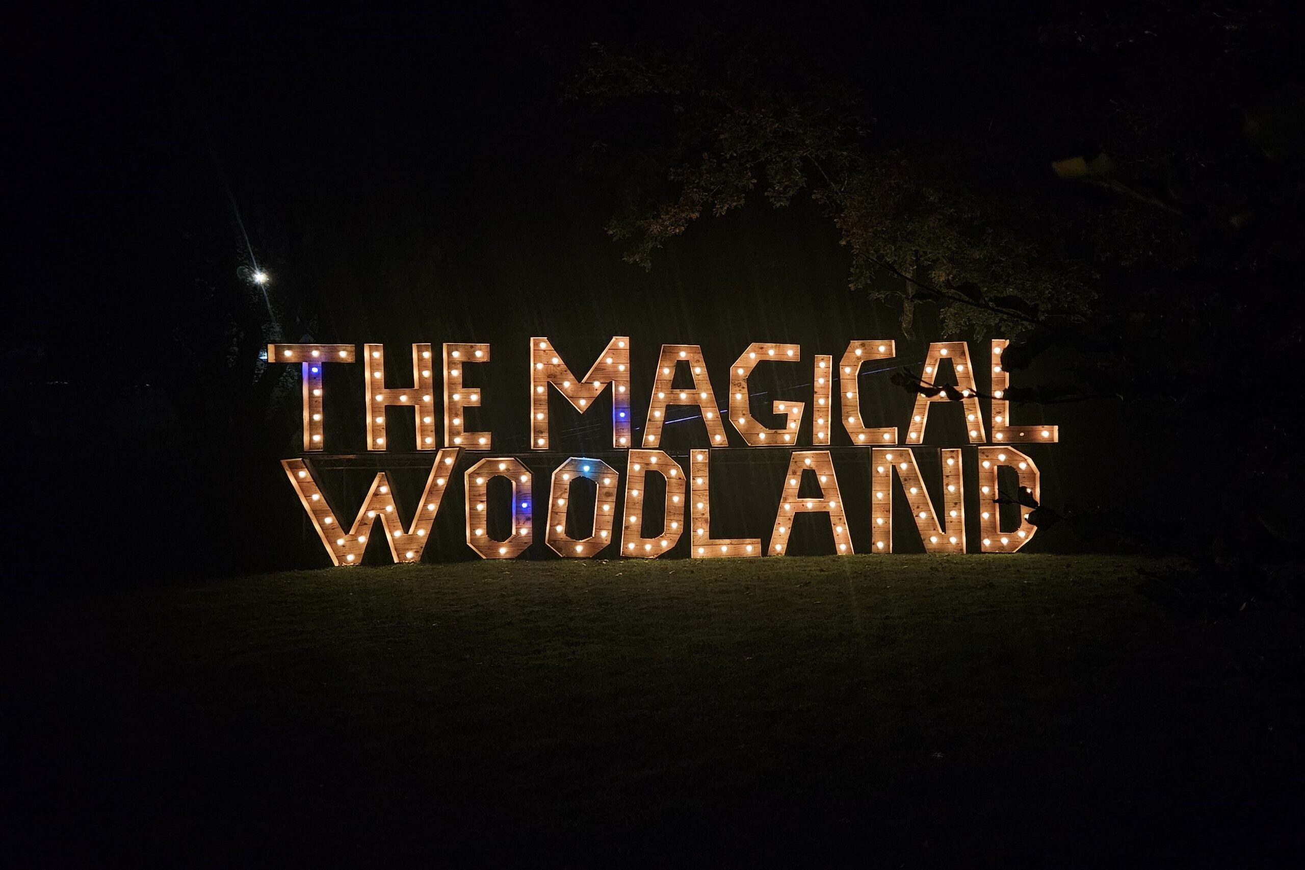 Magical Woodland 2024 - Review and tips