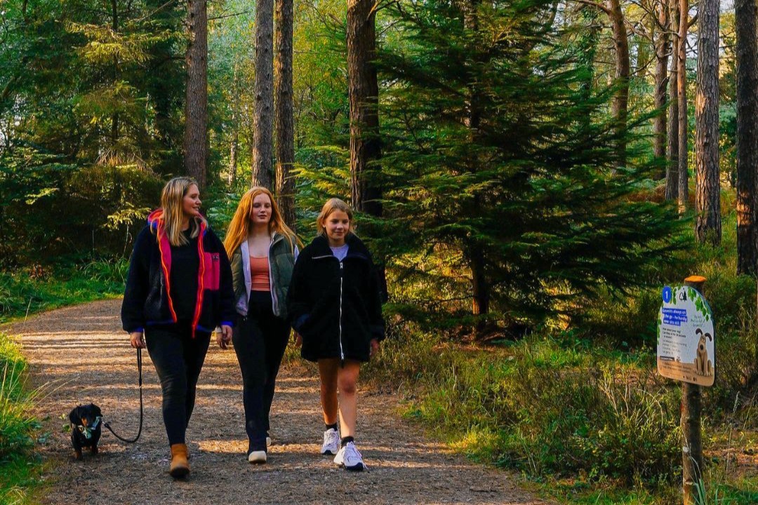 Forest Walkies