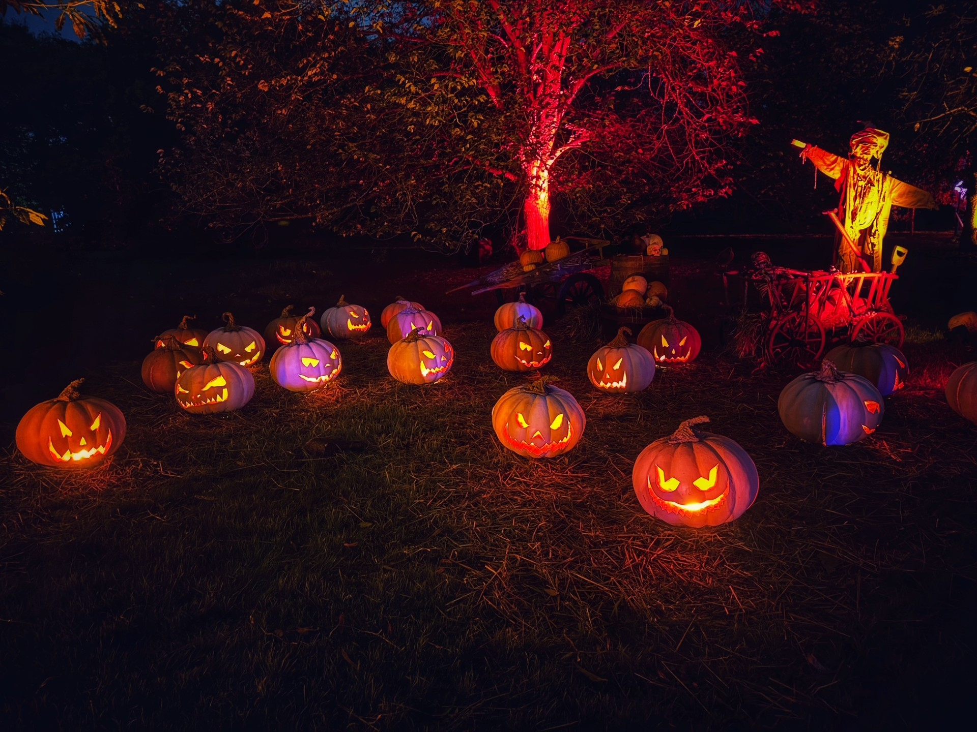 Halloween at Kew